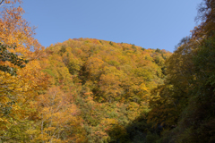有峰紅葉6