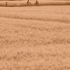 セピアの風景
