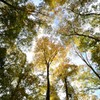 飛騨の里紅葉19