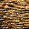 金の水面