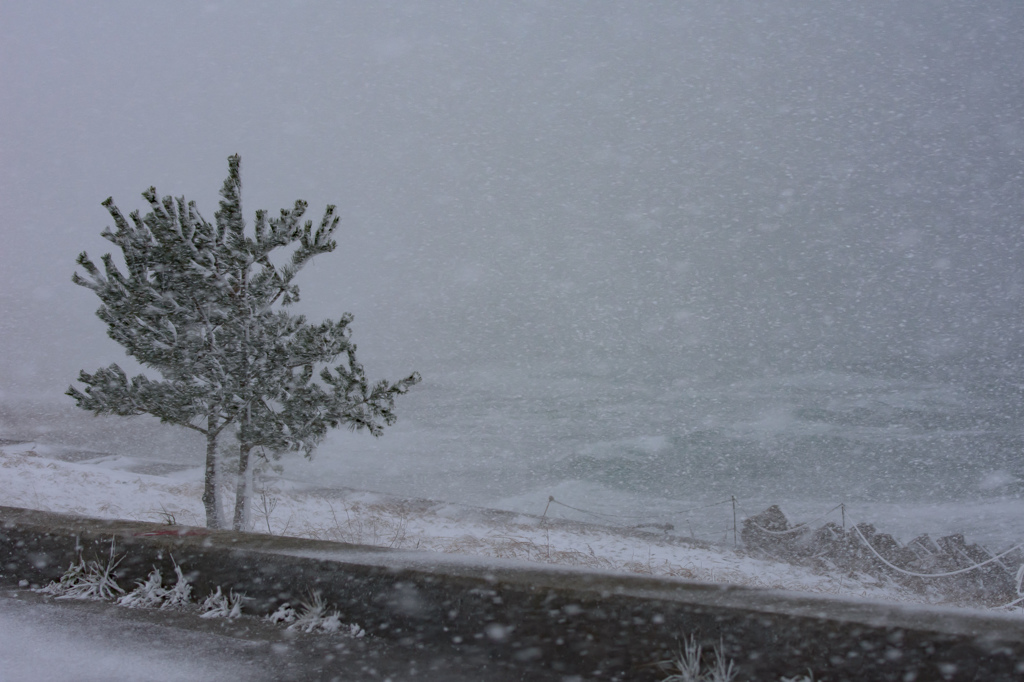 風雪