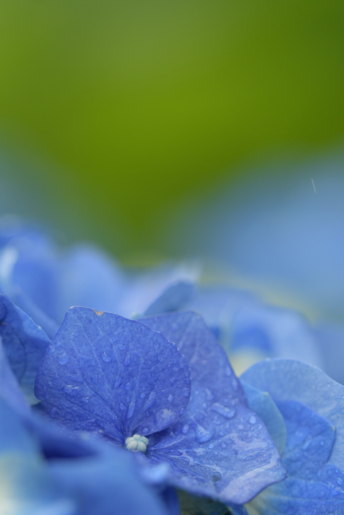 雨2