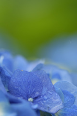 雨2