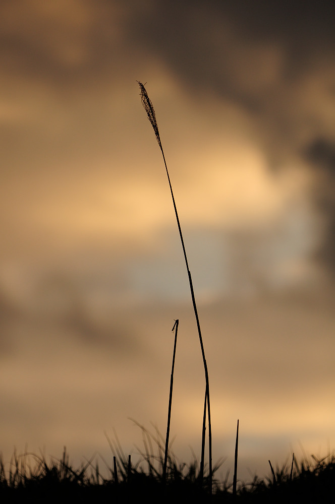 夕景2
