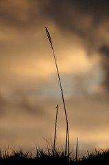 夕景2