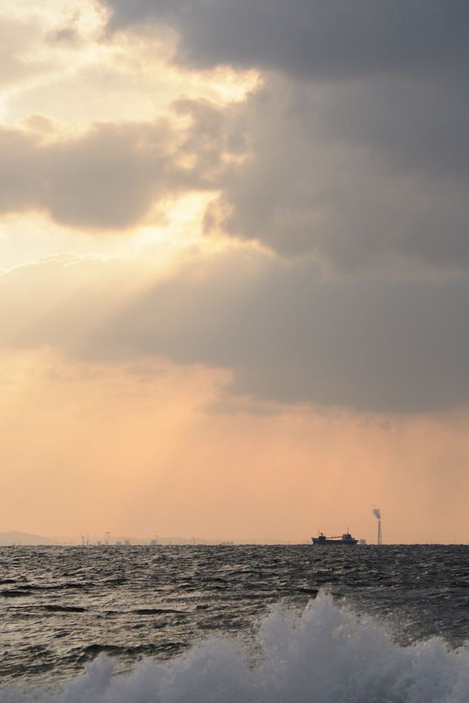 ミサゴが来ないので。