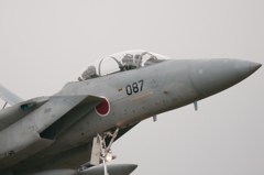 F-15(087)