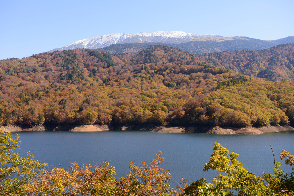 有峰紅葉1