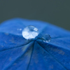 水玉１