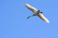 青空