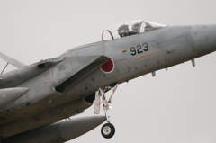 F-15(923)