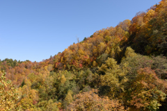 有峰紅葉4
