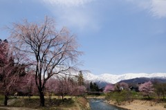 大出の吊橋