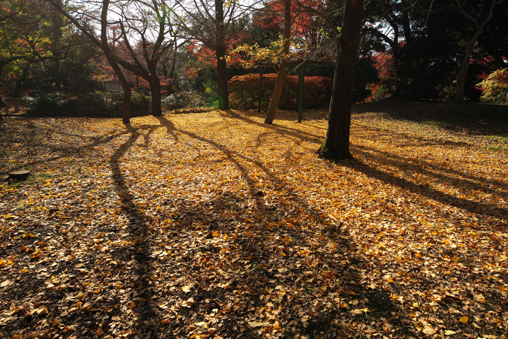 高岡古城公園8