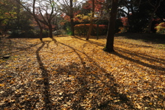 高岡古城公園8