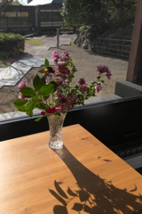 陽だまり