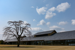富山県水墨美術館