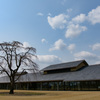富山県水墨美術館