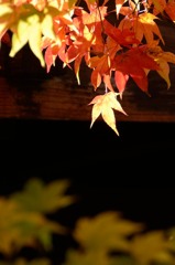飛騨の里紅葉23