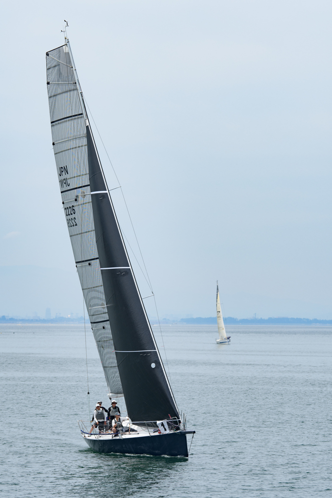 sailing