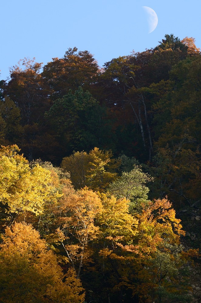 有峰紅葉2