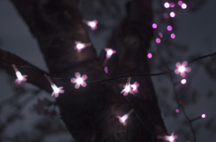 桜イミテーション