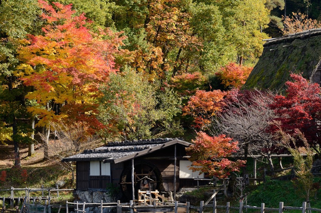 飛騨の里紅葉21