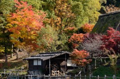 飛騨の里紅葉21