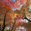 高岡古城公園5