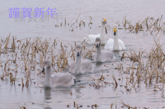 家族でお帰り