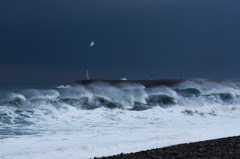 日本海