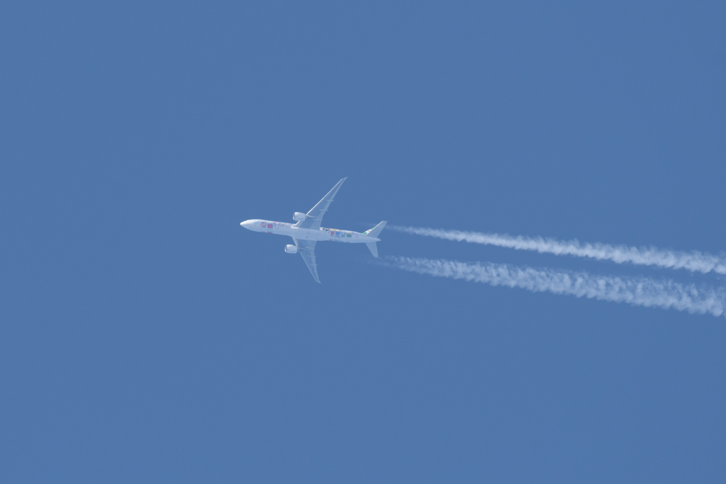 ラッピング飛行機