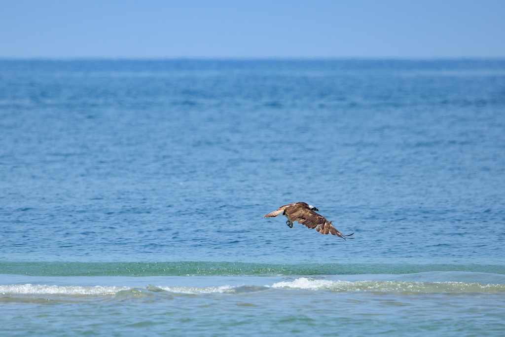 残暑お見舞い申し上げます