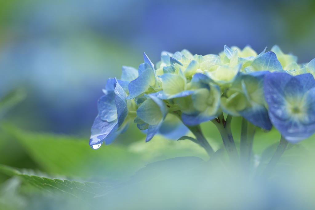 雨3