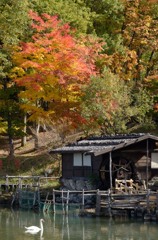 飛騨の里紅葉11