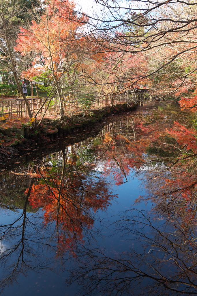 高岡古城公園6