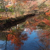 高岡古城公園6