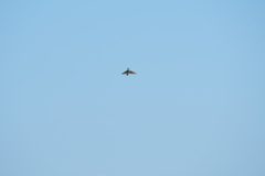 青空