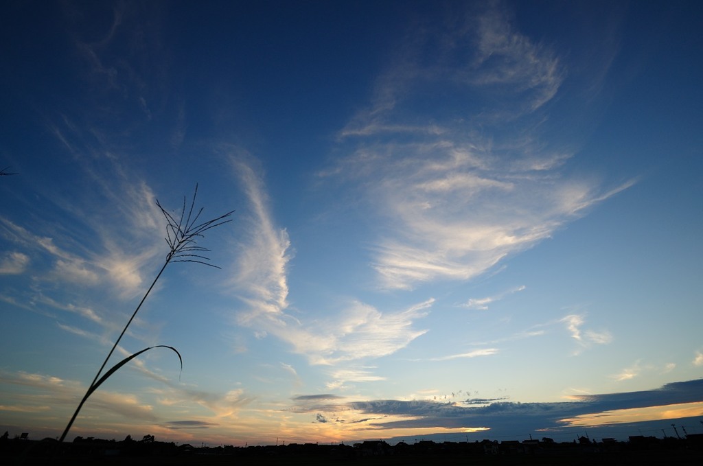 秋の夕暮れ