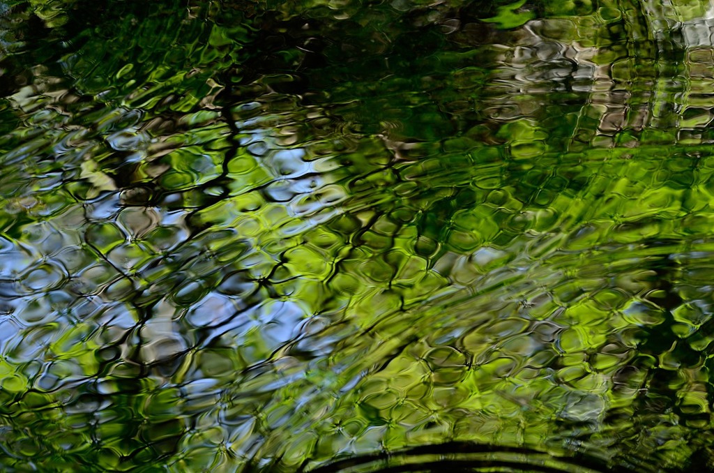 水面のモザイク