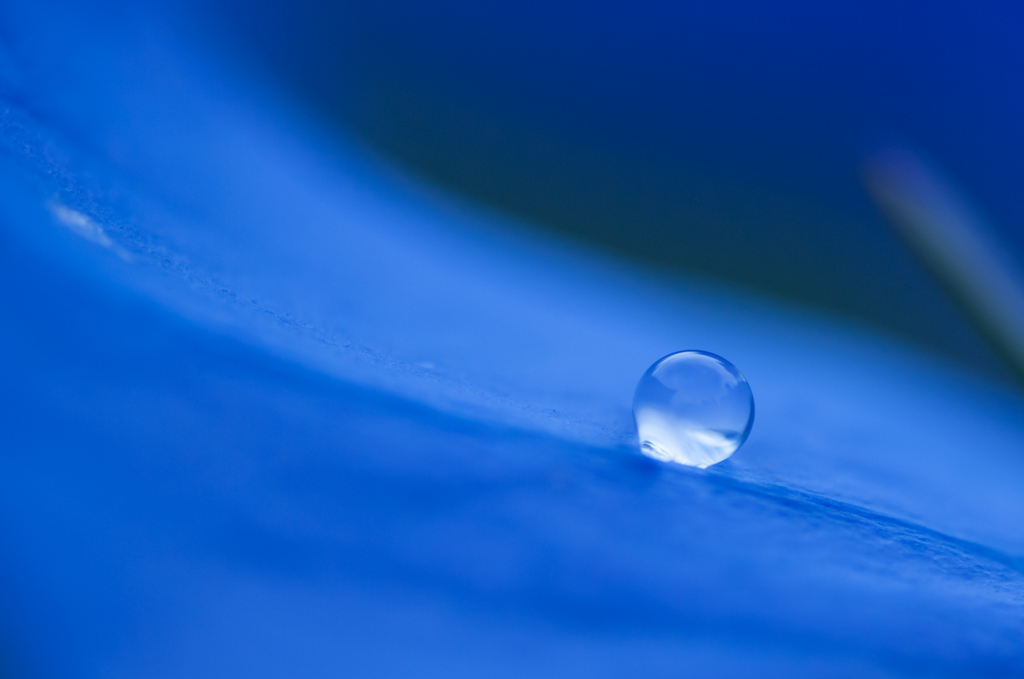 水玉４
