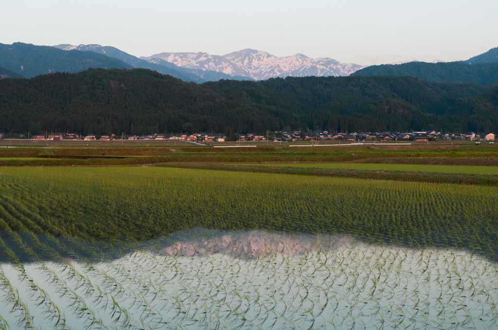 農村夕景