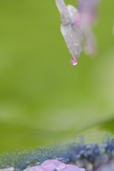 雨1