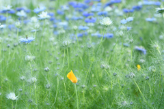 こちらでも一休み