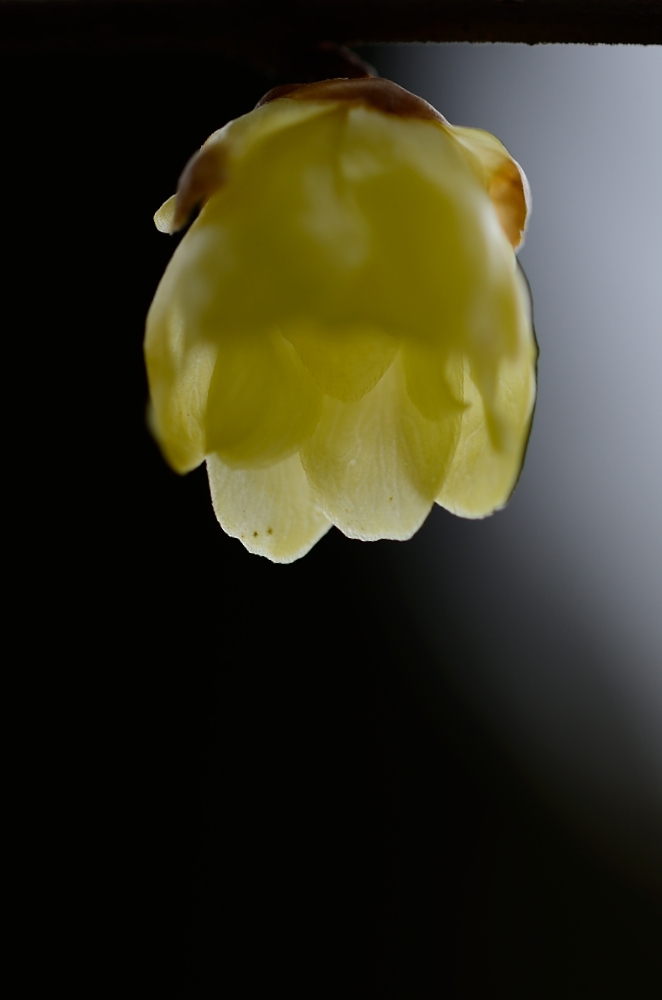 明暗