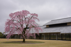 富山県水墨美術館