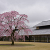 富山県水墨美術館