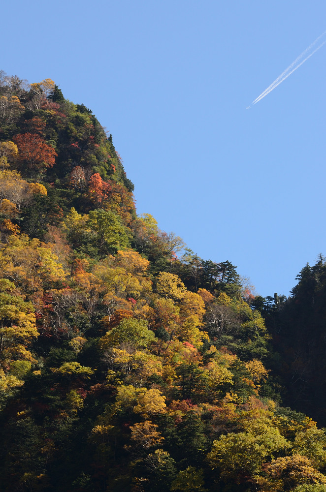 称名滝紅葉2