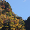 称名滝紅葉2