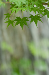 休憩